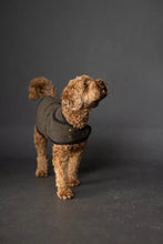 Load image into Gallery viewer, The Barka Dog Coat Pattern by Merchant and Mills