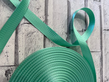 Load image into Gallery viewer, 1” Polyester Webbing Herringbone - Peppermint #34- per metre