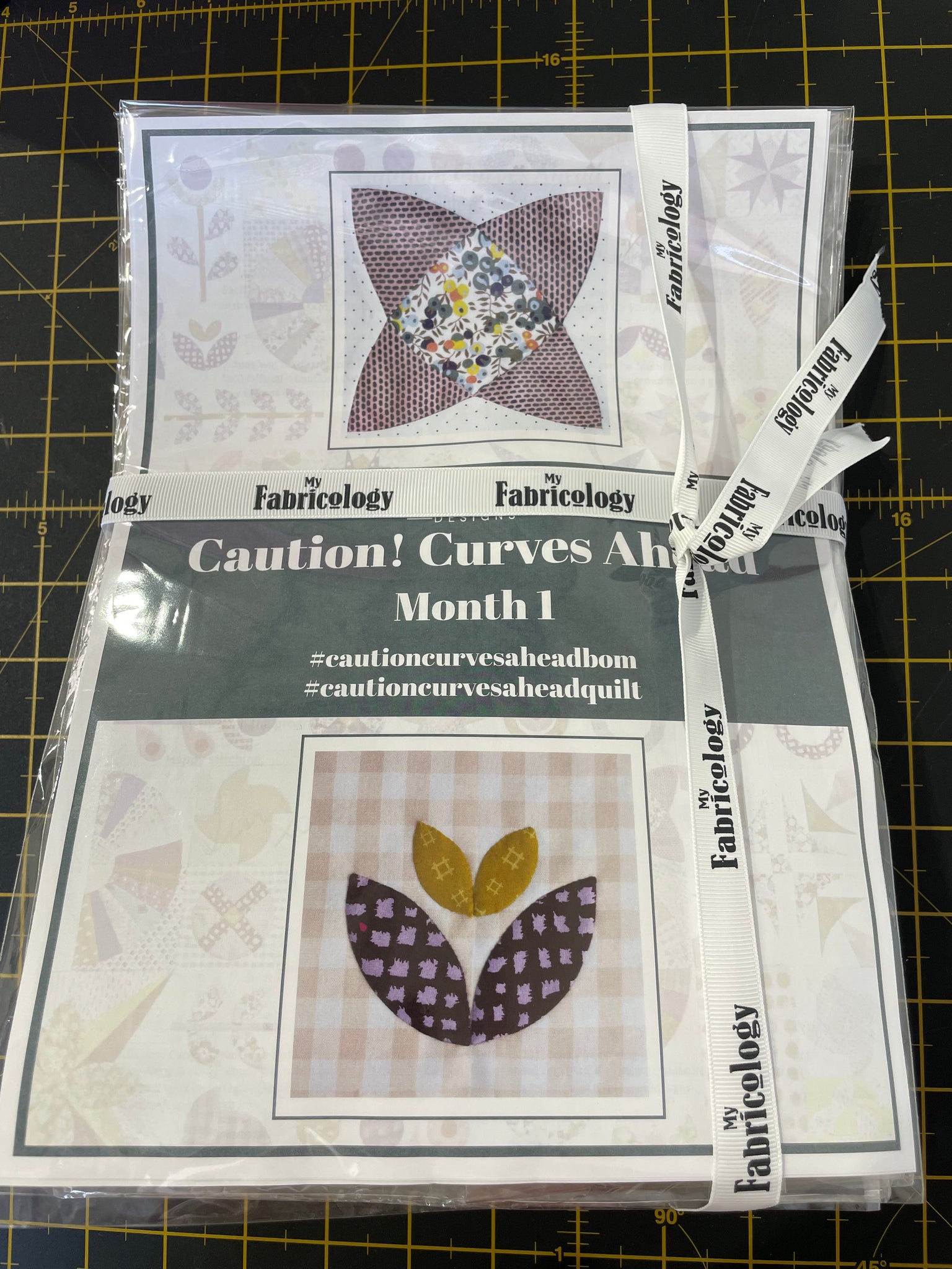 Caution Curves Ahead by Jen Kingwell Quilt Pattern 