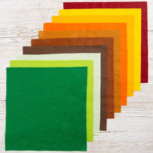 Load image into Gallery viewer, Felt Bundle Mother Earth by Wool Couture Company