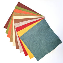 Load image into Gallery viewer, Felt Bundle of 10 Sheets - from Corrine Lapierre