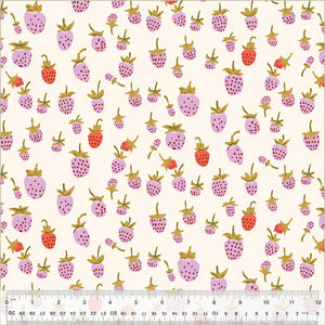 Backing -Strawberries  by Heather Ross for Windham Fabrics -  108" wide 37024W-2DES