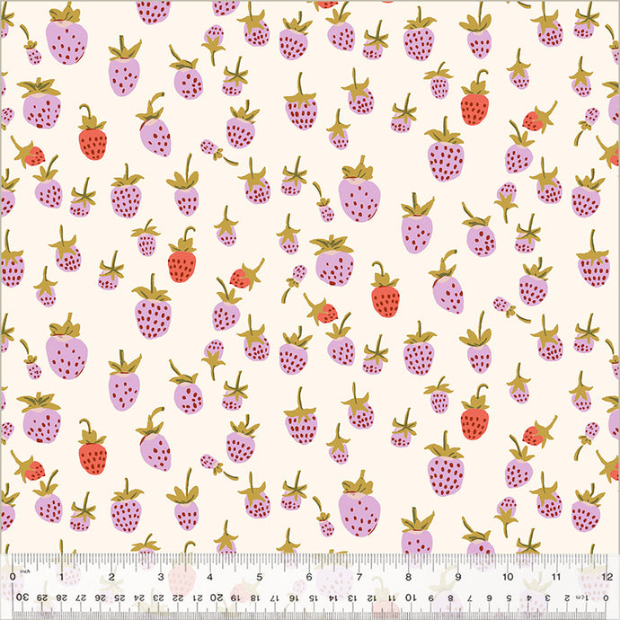 Backing -Strawberries  by Heather Ross for Windham Fabrics -  108