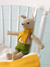 Load image into Gallery viewer, A Year of Felt Decorations Book by Corrine Lapierre
