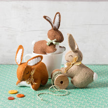 Load image into Gallery viewer, Bunnies  Felt Craft Kit - Corinne Lapierre Ltd