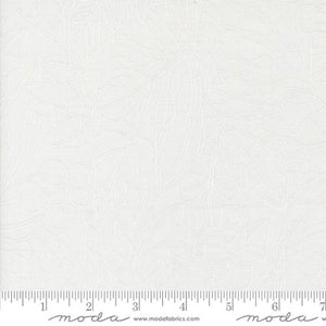 Botany -Greenery  - Paper White By Alli K Designs for Moda Fabrics  - 1155121