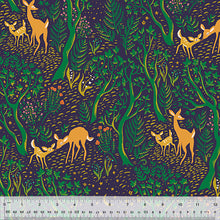 Load image into Gallery viewer, Backing - Night Visitor by Heather Ross for Windham Fabrics -  108&quot; wide