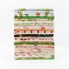 Load image into Gallery viewer, Studio Edit - Fat Quarter bundle by Heather Ross for Windham Fabrics