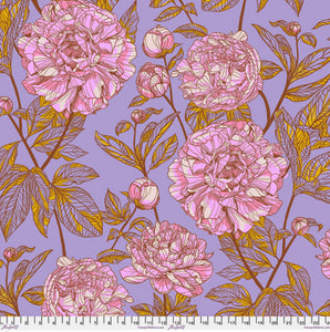 Backing Fabric 108" wide - Our Fair Home- Peony by Anna Maria Horner for Free Spirit