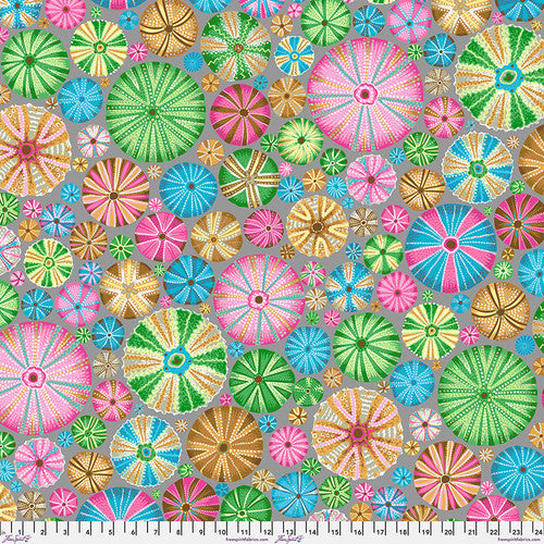 Kaffe Fassett August  2024 - Urchin - Pastel - PWJP125