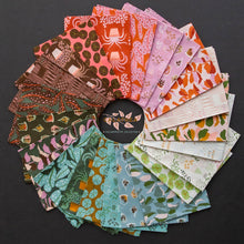 Load image into Gallery viewer, Calathea-  5 " Charm Pack   -  Ruby Star Society - RS5182PP