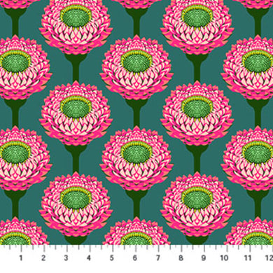 Iconic -Strawflower in Bursting- by Anna Maria Textiles - AMT123-28L