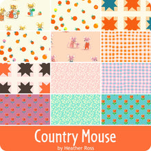 Load image into Gallery viewer, Country Mouse  Bundles by Heather Ross For Windham Fabrics