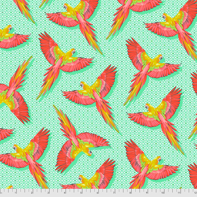 Tula Pink - Daydreamer  - Macaw Ya Later - Mango