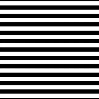 Stripes Zebra - 1/2 inch width